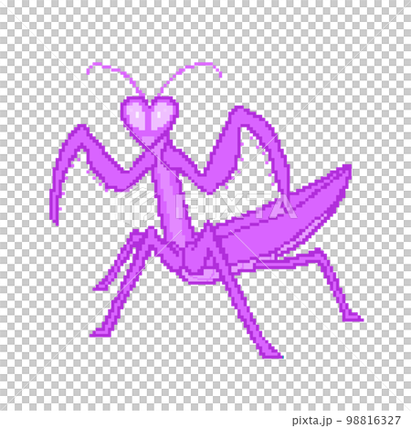 Mantis_dot 圖片（紫色） 98816327