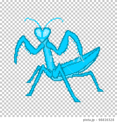 Mantis_dot 圖片(藍色) Mantis_dot 圖片(藍色) 98816328