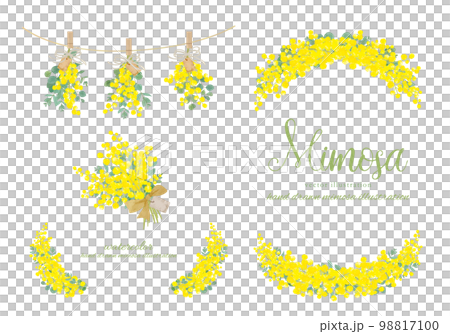 水彩で描いたミモザのフレームと挿絵の素材セット 98817100