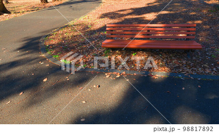 県営和光樹林公園の風景 県営和光樹林公園の風景 98817892