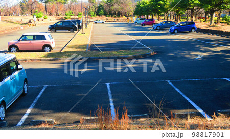 県営和光樹林公園の風景（駐車場） 98817901