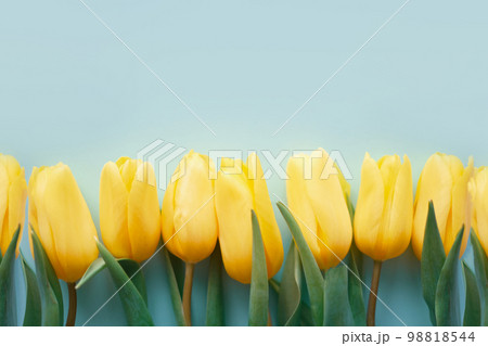 Flowers composition. Yellow tulip flowers on soft blue background. Spring, summer concept Flowers composition. Yellow tulip flowers on soft blue background. Spring, summer concept 98818544