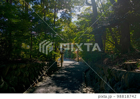 伊勢内宮別宮 月讀宮 参道の風景 伊勢内宮別宮 月讀宮 参道の風景 98818742