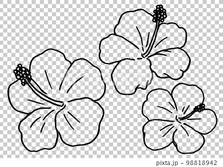 How to Draw Hibiscus flower | Joba Ful Akanor Koushol - YouTube