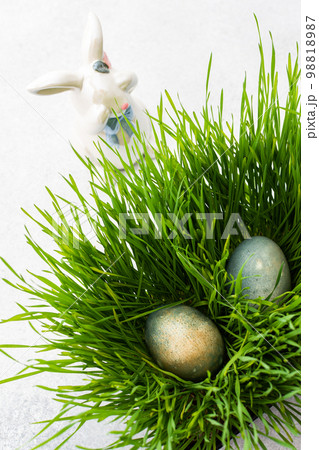 Easter eggs in the grass 98818987