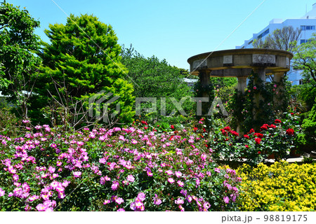 港の見える丘公園(神奈川県横浜市) 港の見える丘公園(神奈川県横浜市) 98819175