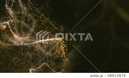 CGパーティクル オレンジ色・金色のパーティクル CGパーティクル オレンジ色・金色のパーティクル 98819876