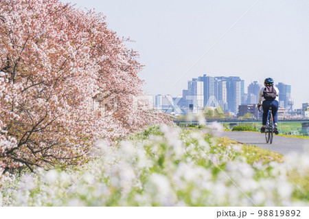 春の多摩川河川敷　サイクリングロードの風景【東京都・大田区－神奈川県・川崎市】 98819892
