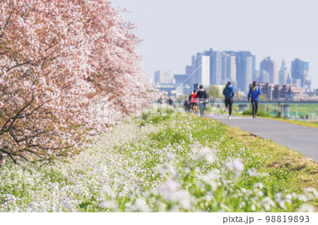 春の多摩川河川敷　サイクリングロードの風景【東京都・大田区－神奈川県・川崎市】 98819893