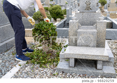 お墓参りに来て植木の手入れをしている中高年男性 98820259