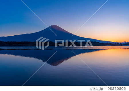 （静岡県）冬の田貫湖・富士山　夜明け前 98820806