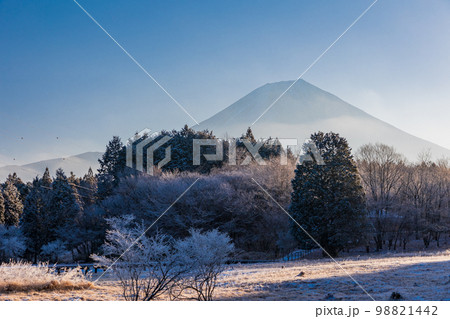 (静岡県)冬の小田貫湿原 富士山 (静岡県)冬の小田貫湿原 富士山 98821442