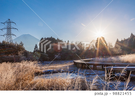 (静岡県)冬の小田貫湿原 富士山 (静岡県)冬の小田貫湿原 富士山 98821455