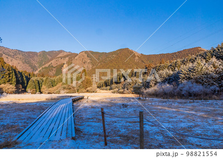 (静岡県)冬の小田貫湿原 (静岡県)冬の小田貫湿原 98821554