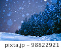 杉が並ぶ森に雪が降る夜 98822921