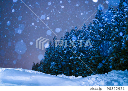 杉が並ぶ森に雪が降る夜 98822921