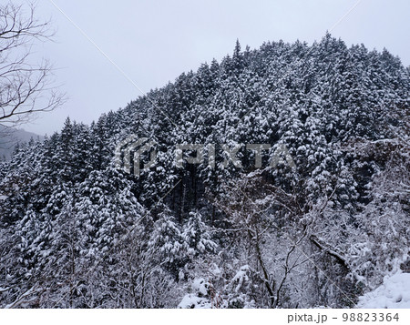 雪山の風景 雪山の風景 98823364