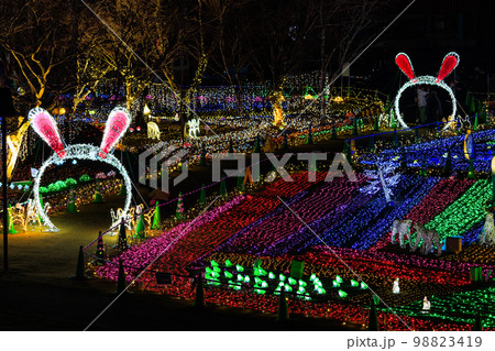 曽木の滝公園イルミネーション　2023年卯年Ver. 98823419