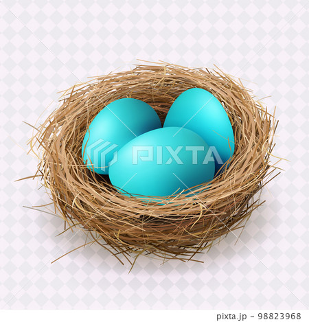 Easter blue eggs in a nest, isolated design element Easter blue eggs in a nest, isolated design element 98823968