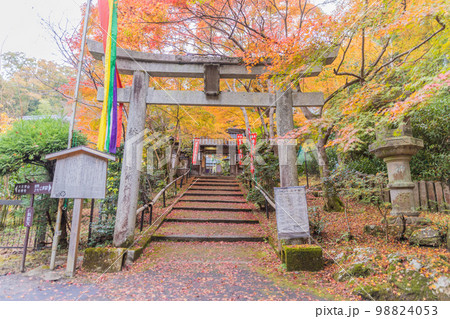 京都　山科聖天（双林院）の紅葉 98824053