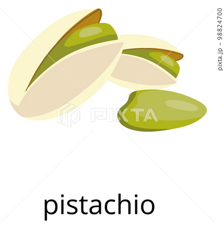 Pistachio green nut in shell. Color food icon Pistachio green nut in shell. Color food icon 98824700