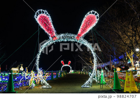 曽木の滝公園イルミネーション 2023年卯年Ver. 曽木の滝公園イルミネーション 2023年卯年Ver. 98824707