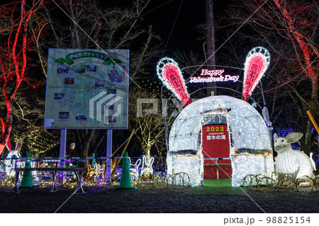 曽木の滝公園イルミネーション 2023年うさぎ年&バレンタインデーVer. 曽木の滝公園イルミネーション 2023年うさぎ年&バレンタインデーVer. 98825154