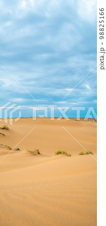 Bright blue cloudy sky over the yellow desert of Kyzylkum Kazakhstan. Rainy weather in the desert. Beautiful landscape of the desert of Central Asia 98825166