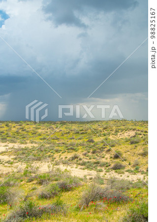 Thunderstorm unusual cloud over the Kyzylkum desert, rare rain over the desert area 98825167