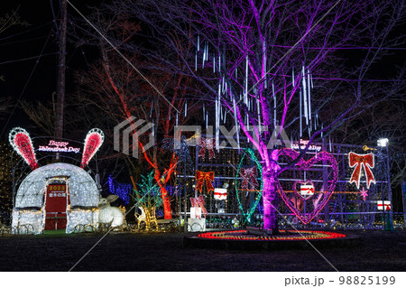 曽木の滝公園イルミネーション 2023年うさぎ年&バレンタインデーVer. 曽木の滝公園イルミネーション 2023年うさぎ年&バレンタインデーVer. 98825199
