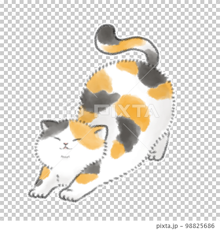 Cats growing 98825686