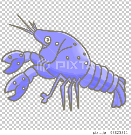 R:もっとメルヘンな水族館RX☆アメリカザリガニ⑬ R:もっとメルヘンな水族館RX☆アメリカザリガニ⑬ 98825811