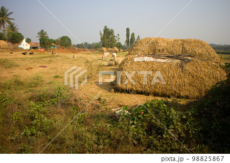 Poor Indian household (farm) 5. Andhra Pradesh, Anantapur Poor Indian household (farm) 5. Andhra Pradesh, Anantapur 98825867