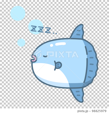 sunfish sleeping 98825979