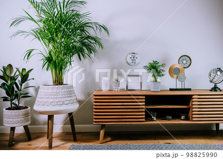 Scandinavian home interior with decorative accessories standing on a wooden cabinet. Minimalist design in interior of room with green plants and white wall with copy space. Biophilia style Scandinavian home interior with decorative accessories standing on a wooden cabinet. Minimalist design in interior of room with green plants and white wall with copy space. Biophilia style 98825990