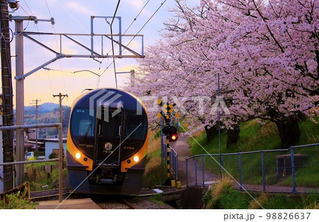 満開の桜と86000系特急電車 JR四国の写真素材 [98826637] - PIXTA