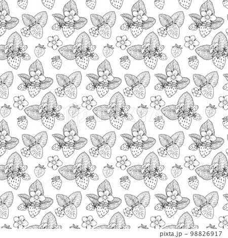 白黒線画いちごのシームレスパターンのベクターイラスト素材 98826917