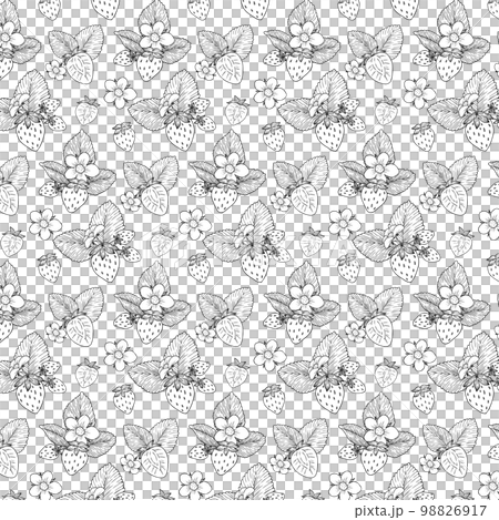 白黒線画いちごのシームレスパターンのベクターイラスト素材 98826917