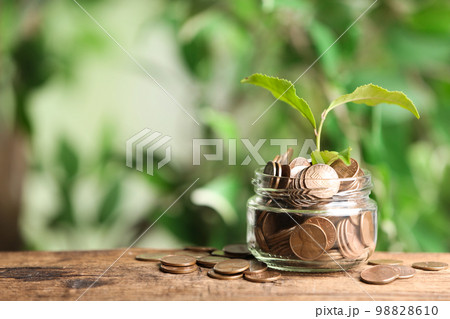 Money and sprout on wooden table against green blurred background, space for text Money and sprout on wooden table against green blurred background, space for text 98828610