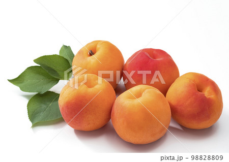 白バックのあんず 白バックのあんず 98828809