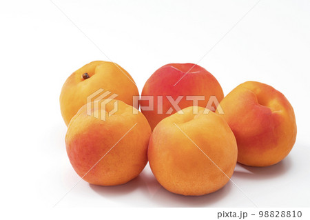 白バックのあんず 白バックのあんず 98828810