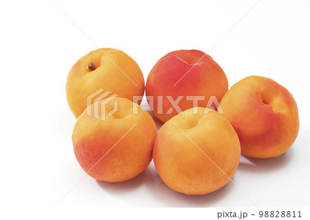 白バックのあんず 白バックのあんず 98828811