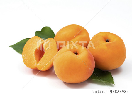 白バックのあんず 白バックのあんず 98828985