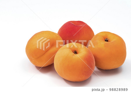 白バックのあんず 98828989