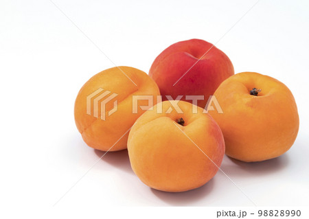 白バックのあんず 98828990