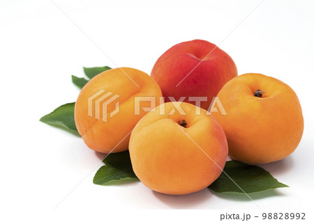 白バックのあんず 98828992