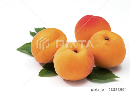 白バックのあんず 98828994