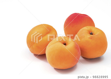 白バックのあんず 白バックのあんず 98828995