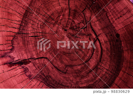 The background color of the viva magenta 2023 tree texture. Old apple tree stump top view. Cross section of a tree trunk with cracks and annual rings. High quality photo 98830629
