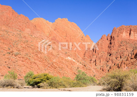 Bolivian canyon near Tupiza,Bolivia 98831159